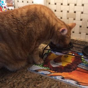 Meet your Posher, Julian